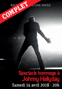 Spectacle hommage  Johnny Hallyday